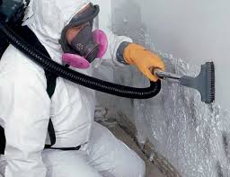 Professional Mold Remediation in Ridgecrest, FL